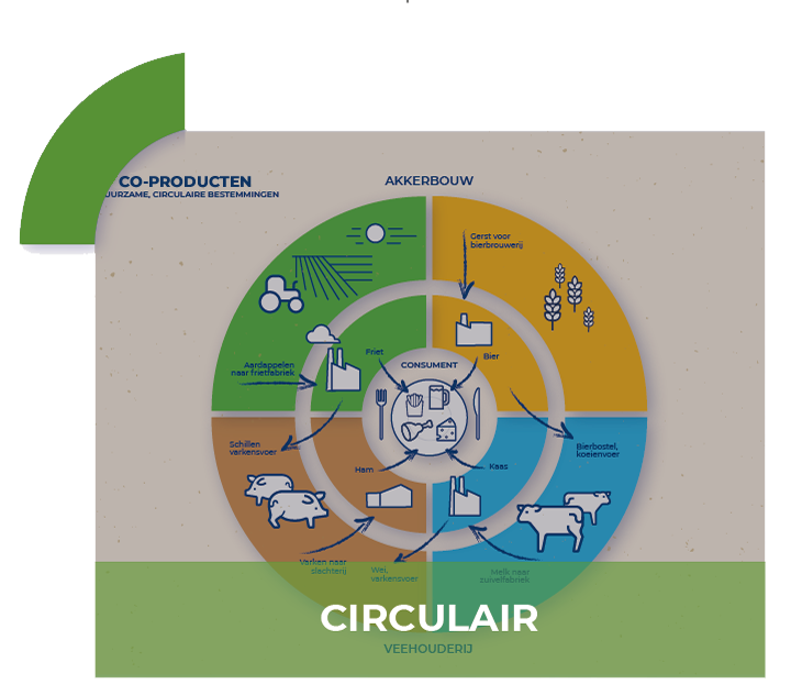 circulair feed infographic def