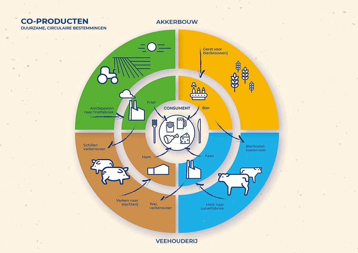 CIRCULAR FEED ASSOCIATION INFOGRAPHIC COPRODUCTEN