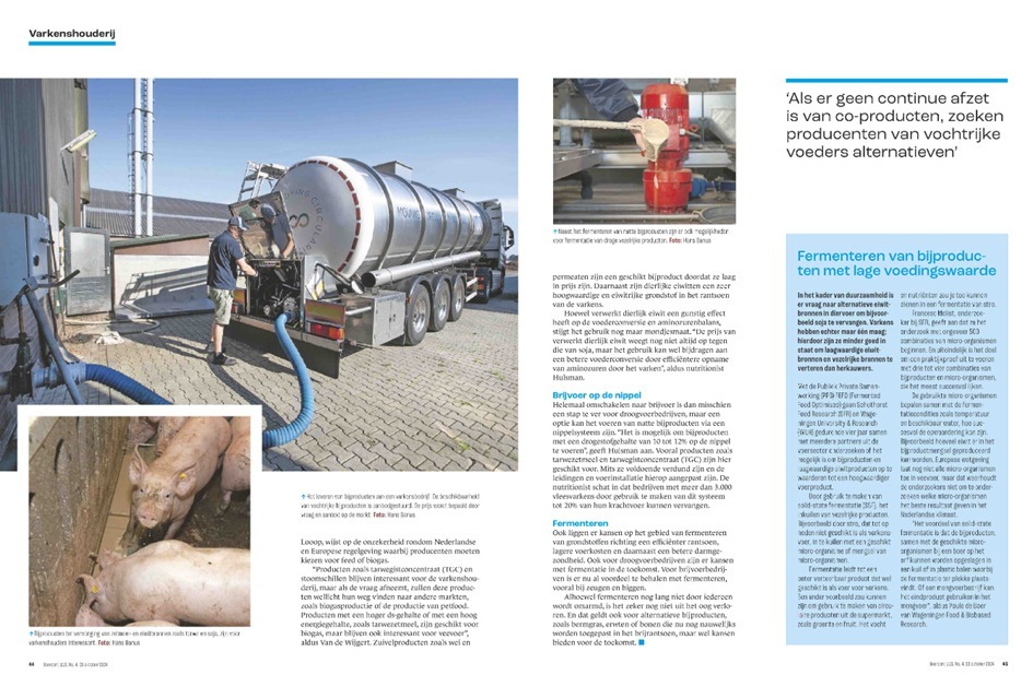 20241023 pagina 5 6 Brijvoer voor varkens